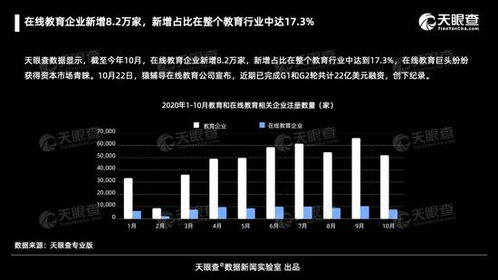 在線教育行業(yè)迅猛擴(kuò)張 截至十月新增8.2萬家企業(yè)，占比達(dá)行業(yè)17%
